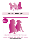 Mini Bites