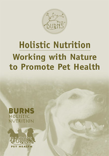 Holistic Health Guide for Dogs and Cats