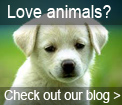 Love animals - read our blog